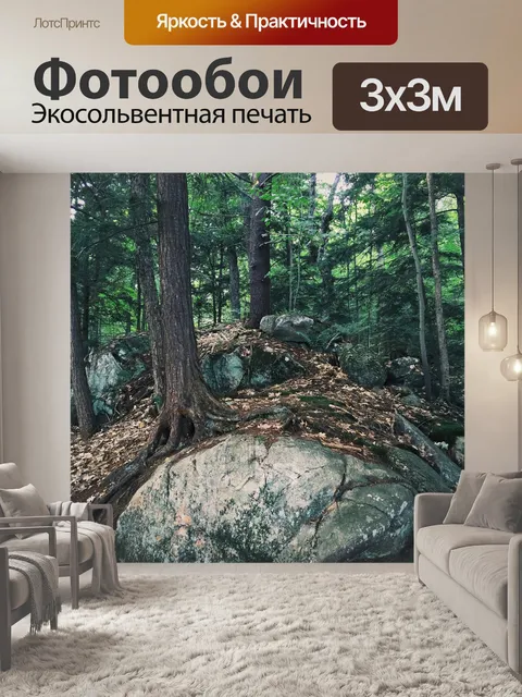 Фотообои Лес