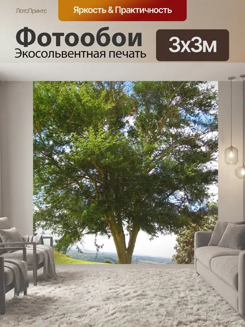 Фотообои лихорадочное дерево на вершине склона