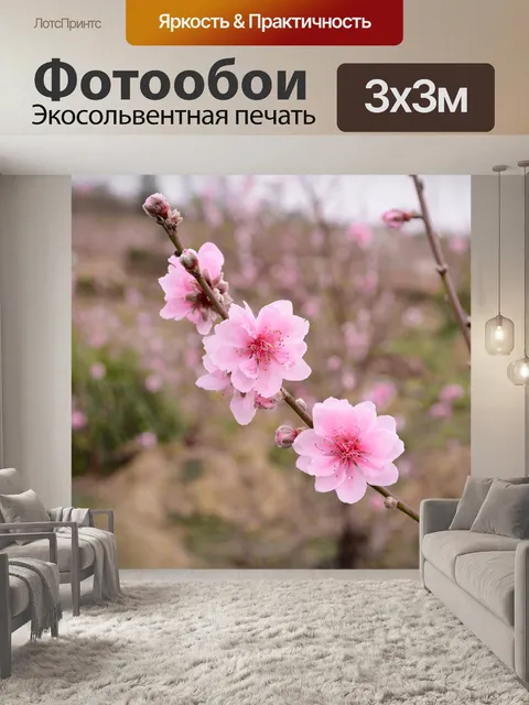 Фотообои Персик
