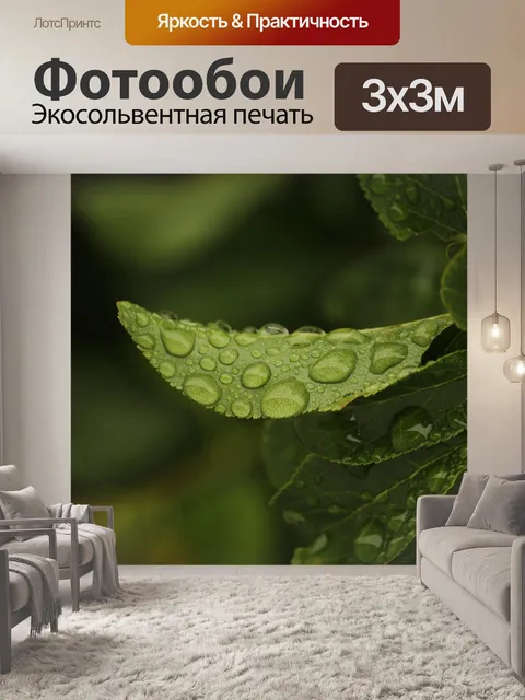Фотообои Листья