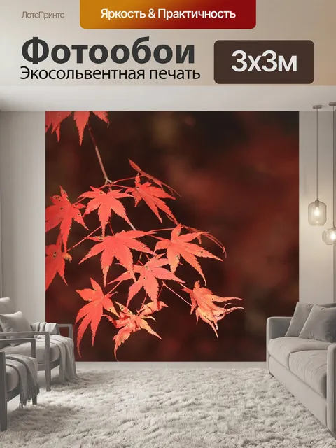 Фотообои Осень