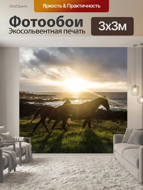 Фотообои Лошадь
