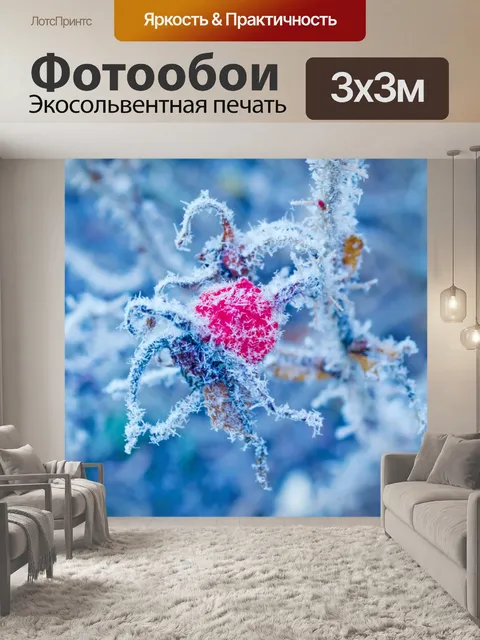 Фотообои Red Rose Hip