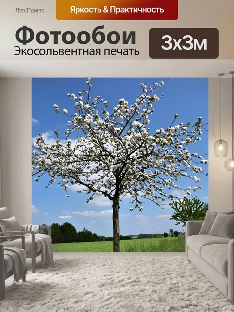 Фотообои Красивый вишневый Цветы