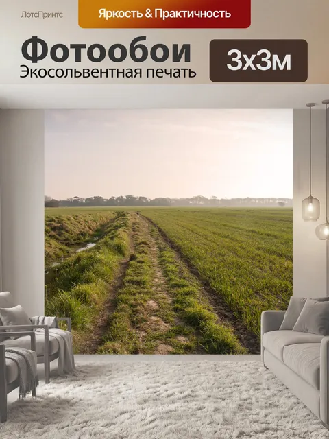 Фотообои Восход Раннее утро пейзаж