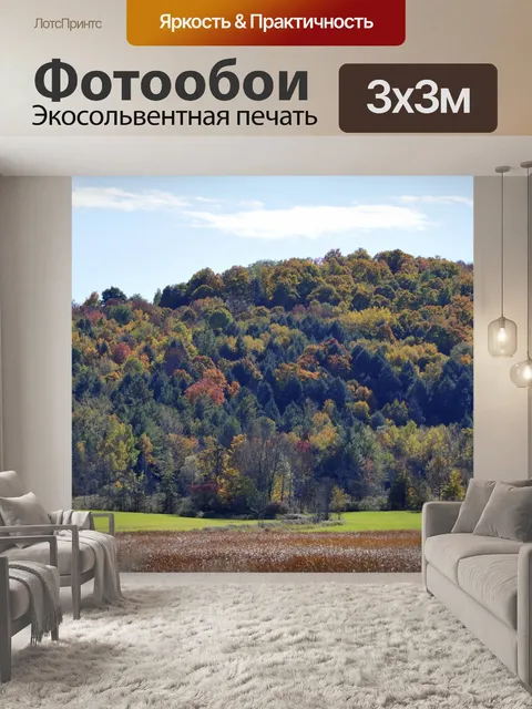 Фотообои Падение листвы Пейзаж