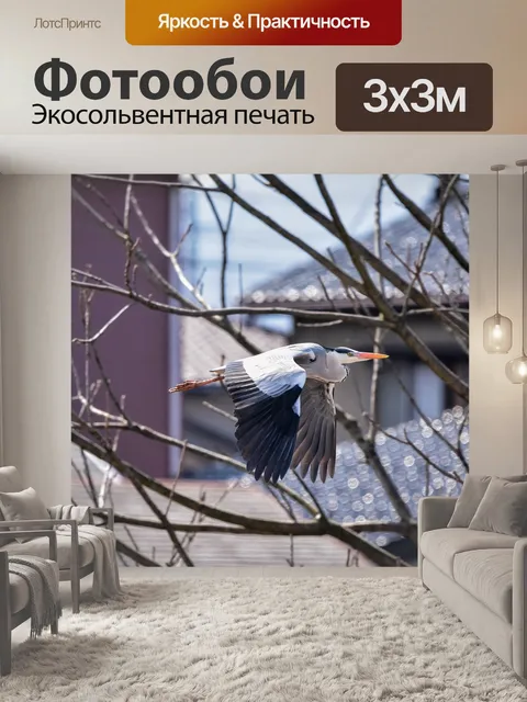 Фотообои Животное