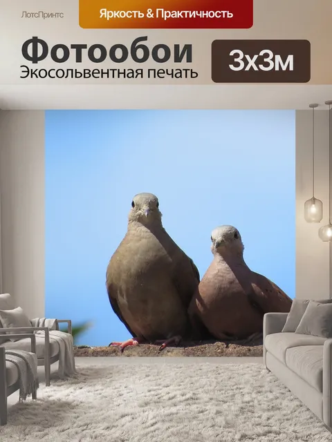 Фотообои Птицы
