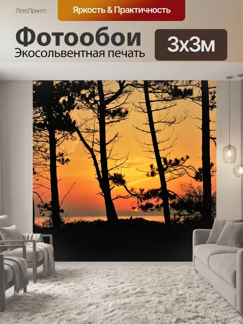 Фотообои Лес