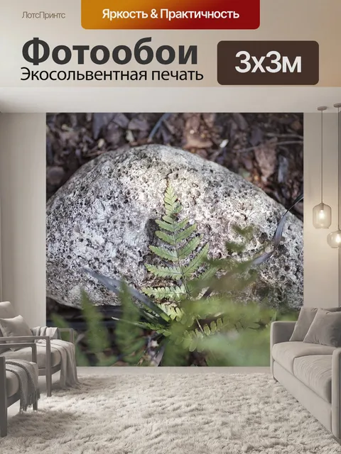 Фотообои Камень