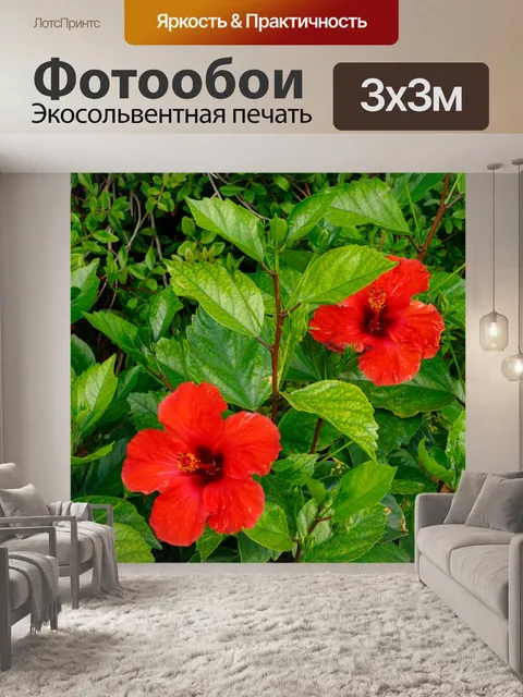 Фотообои Природа Крита