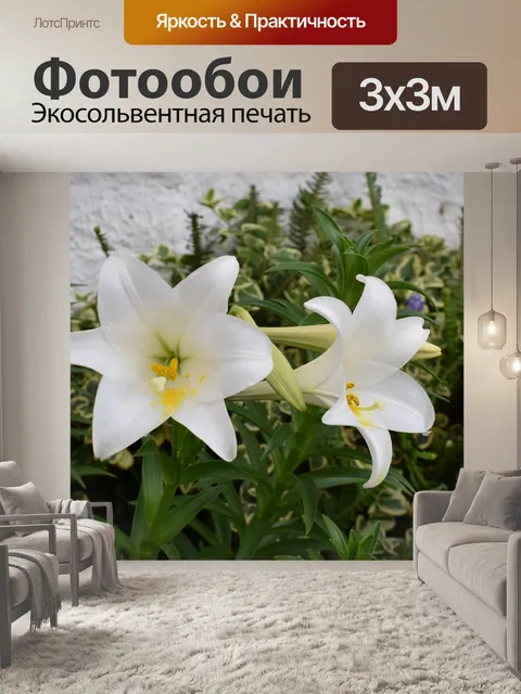 Фотообои Цветы