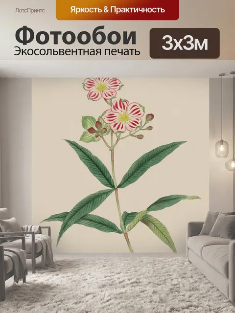 Фотообои Цветы