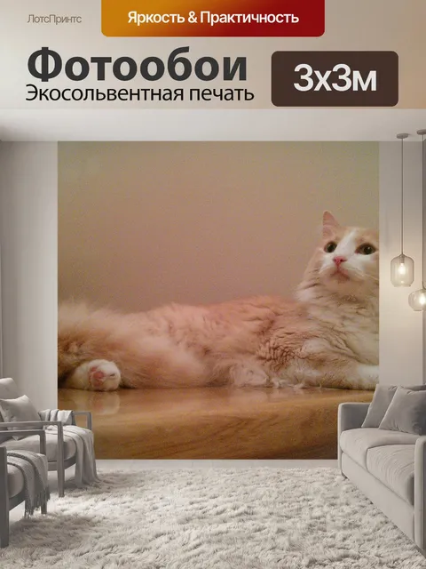 Фотообои Кошка