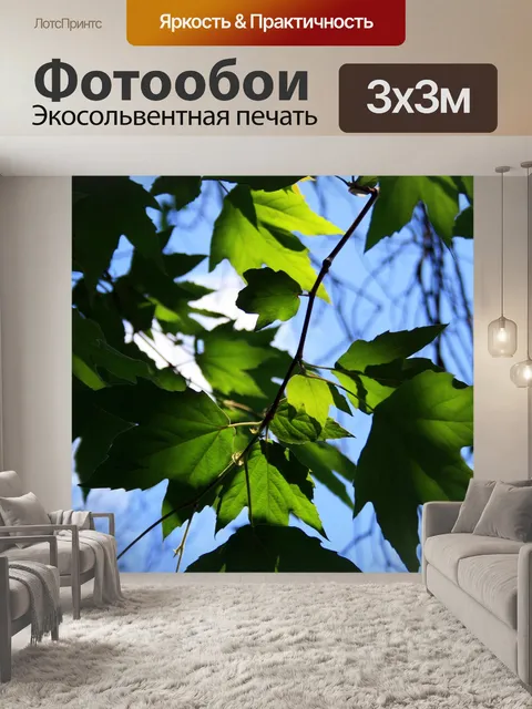 Фотообои свет на плоских листьев