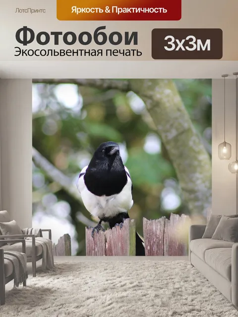 Фотообои Птица