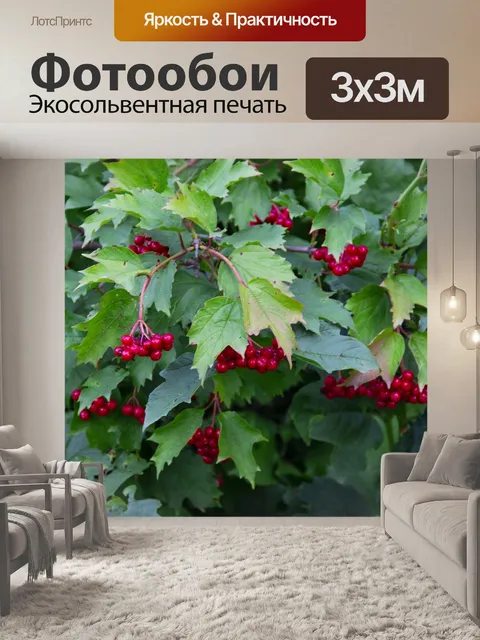 Фотообои Ягоды