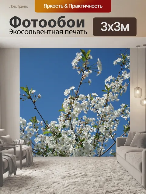 Фотообои Цветение вишни