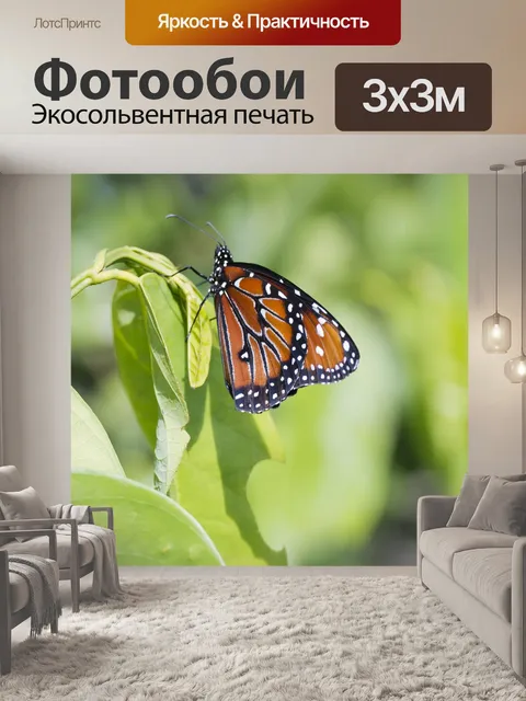 Фотообои Бабочка