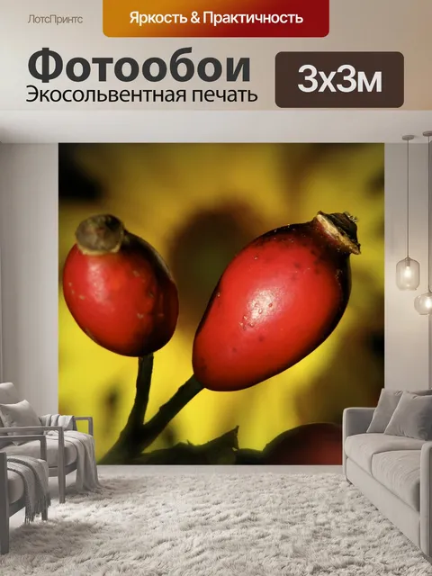 Фотообои Шиповник