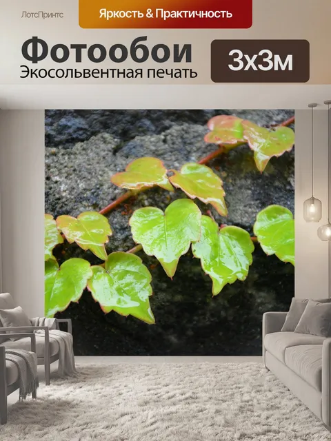 Фотообои Листы