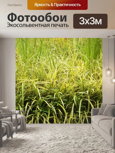 Фотообои Длинные текстуры тропической травы
