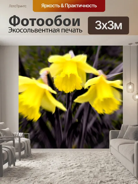 Фотообои Ницца цветов