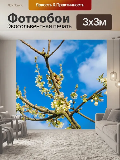Фотообои ветвь цветущей вишни