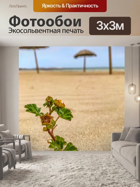 Фотообои Песок