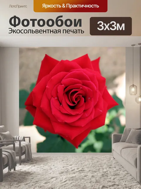 Фотообои Розы