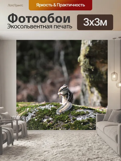 Фотообои Природа