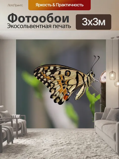 Фотообои Бабочка