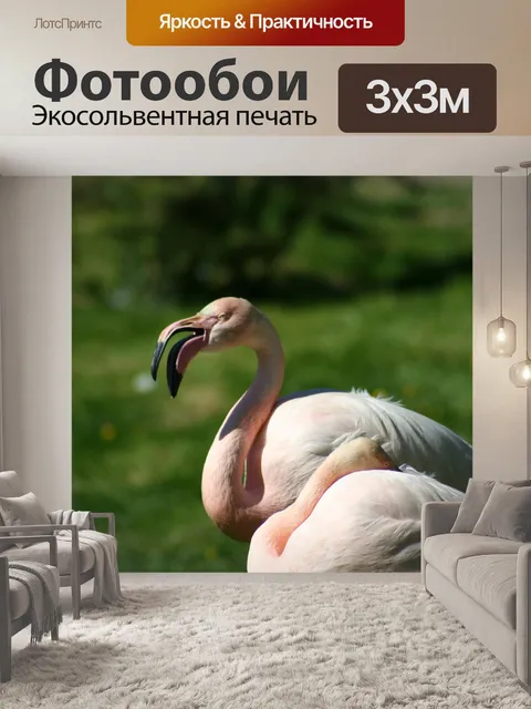 Фотообои Фламинго