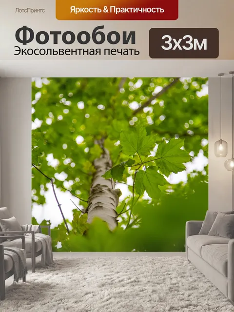 Фотообои Зеленый лист