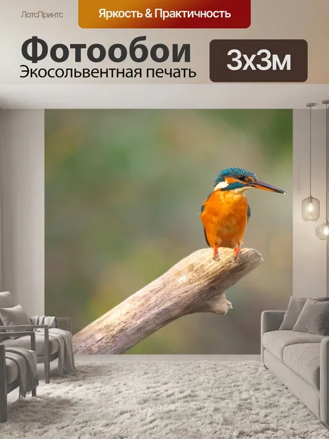 Фотообои Природа