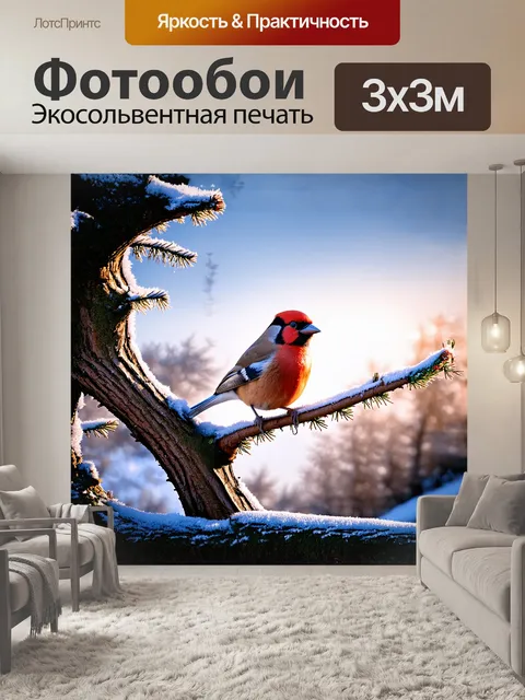 Фотообои величественный снегирь, сидящий на старой, покрытой инеем сосне