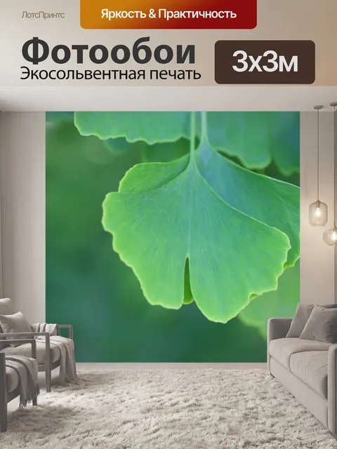 Фотообои Гинкго билоба
