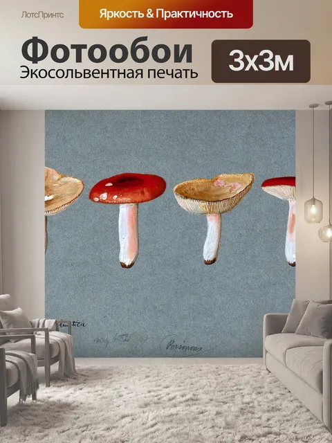 Фотообои Винтажная иллюстрация чемпиона грибов