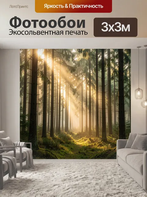 Фотообои Солнечный лес с лучами света