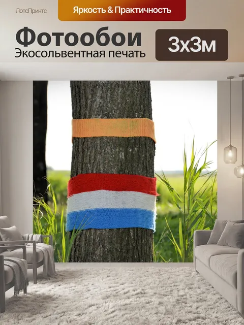 Фотообои Одетый деревья