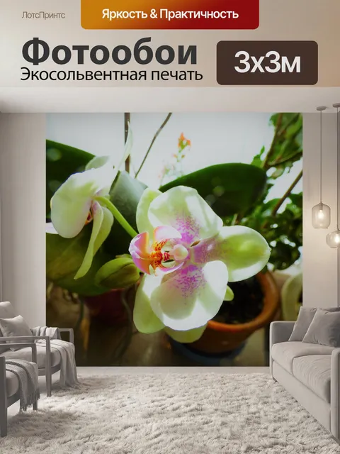 Фотообои Фон обои