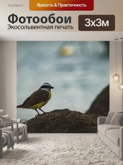 Фотообои Птица