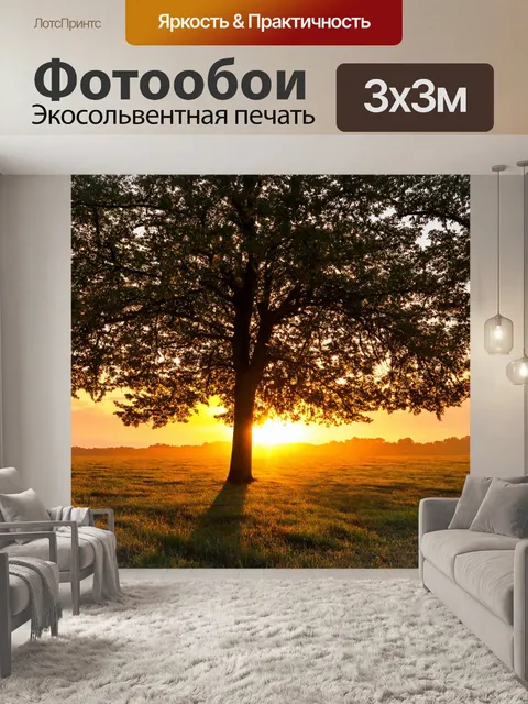 Фотообои закат на поляне с силуэтами деревьев