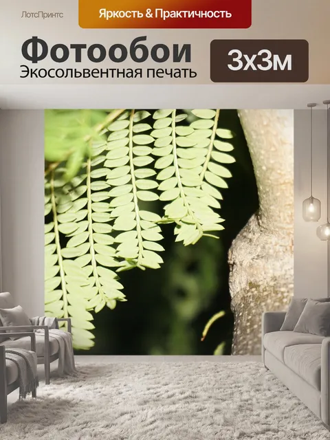 Фотообои Листья