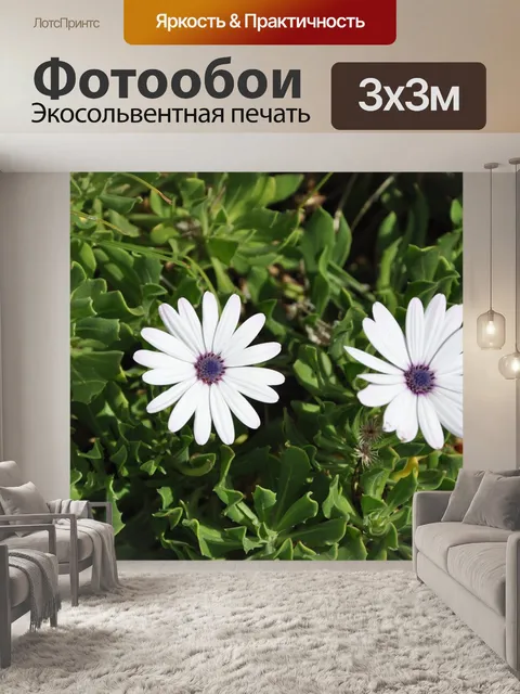 Фотообои Цветы