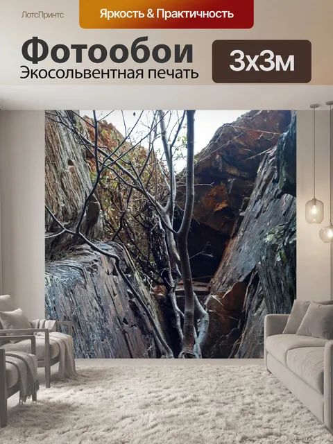 Фотообои серые стволы и ветки растут