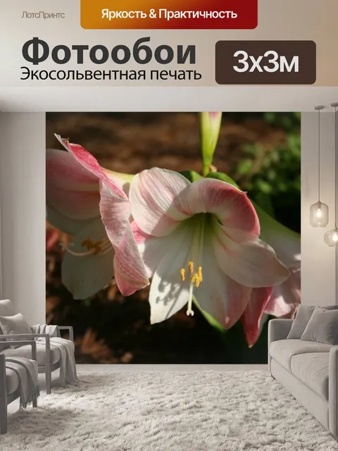 Фотообои Цветы