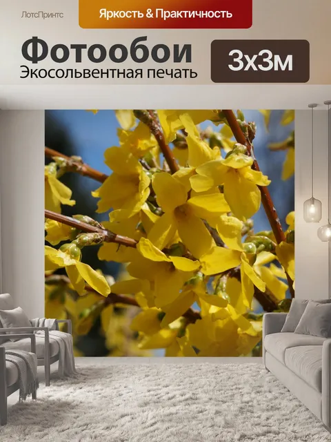 Фотообои Сад