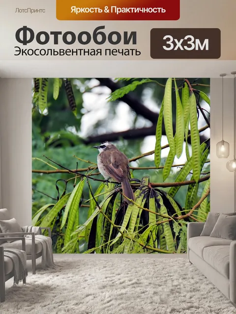 Фотообои Птица
