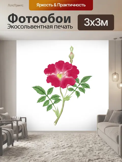 Фотообои Клипарт цветок старинное искусство